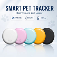 Traceur GPS double système iOS & Android pour animaux de compagnie, anti-perte pour chien, localisateur Bluetooth précis pour chiens et clés, compatible AirTag