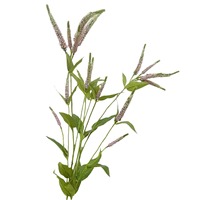 Bunga Buatan, Lavender, Sage, Tanaman Aksen Ungu Tunggal Bergaya Eropa Berkualitas Tinggi, Aksesori Dekorasi Rumah