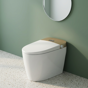 WC intelligent monobloc de luxe avec télécommande, siège chauffant, drainage en P/S, design à poser au sol - Product Image 1