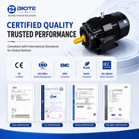 BIOTE 380V 400V 415V 440V Motor AC Induksi Tiga Fasa IE3 Kustom YE3-80M1-2 0.75kW 50/60Hz IP55 2830RPM Pemasangan Kaki