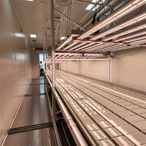 Contenedor Hidropónico Vertical Inteligente y Automatizado con Luz LED de Espectro Completo para Cultivo de Cáñamo Medicinal, Envío de 40 pies - Product Image 3