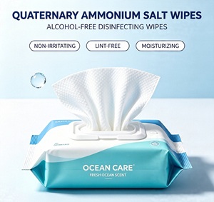 Lingettes désinfectantes écologiques en gros à base de sel d'ammonium quaternaire, sans alcool, douces, non pelucheuses, emballées individuellement, jetables dans les toilettes - Product Image 3