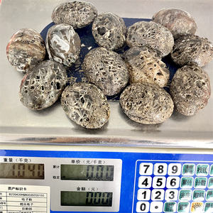 Nouveauté cristaux en vrac produit de pierre de guérison 6cm pierre de palmier sphalérite pour la guérison spirituelle - Product Image 6