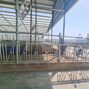 Precio de fábrica, equipo de cría de vacas, establo libre, establos lecheros, cubículos cómodos para vacas para granja lechera - Product Image 6
