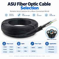 Câble à fibres optiques compact Mini ADSS 12/24 cœurs, léger, pour projets d'accès haut débit en extérieur