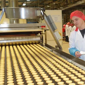 1000Mm Populaire Biscuit Snack Productie-Apparatuur. Automatische Koekjesmachine Prijs