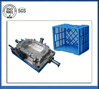Molde de inyección para cajas de almacenamiento grandes y resistentes, con 20 años de experiencia en logística, para cestas de frutas y verduras.