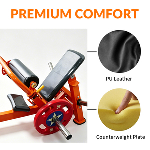 EdeFit F056B Appareil de musculation à charge libre pour Hip Thrust, entraînement des fessiers et des jambes, en acier, pour le renforcement des fessiers et la réalisation d'exercices de pont fessier - Product Image 3