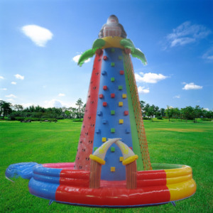 Yeni popüler yetişkin açık kaya tırmanma yaşam dolu kale kapalı esnek oyun projesi spor uygulama bacaklarda tırmanma duvarı satışa - Product Image 2