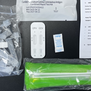 개의 애완 동물 건강 CPV/CCV 검출을위한 수의사 사용 플라스틱 콤보 테스트 키트 - Product Image 5