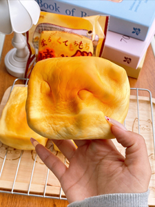 Hachimi Japanese Grilled Rice Cake Slow Rising Squishy Toy Super Soft Moist Kirimochi Squeeze Toy Simulated Food Fidget Toy - Product Image 6