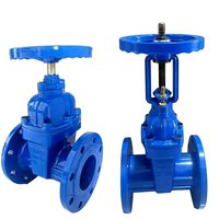 Vanne à opercule manuelle en fonte ductile à joint souple et à ressort, de qualité supérieure, pour le traitement de l'eau, pression 1.0-1.6Mpa, taille DN50-DN2000