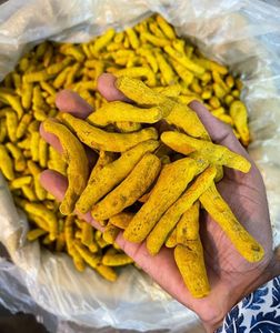 Rhizomes de curcuma, racines séchées, épices, ingrédient naturel à base de plantes pour la cuisine et les remèdes traditionnels - Product Image 4
