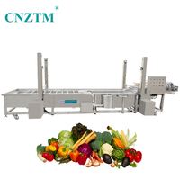 Automatische roestvrijstalen fruit- en groentewasmachine met motor voor noten, capaciteit 500-1000 kg/uur