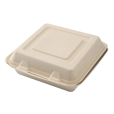 Compostable Sugarcane Clamshell Food Containers | Eco-Friendly Takeout Boxes