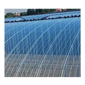 China biodegradable reflective film for agriculture