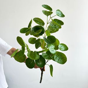 Planta Artificial de Árbol del Dinero Meng Jie, 80cm-100cm, Follaje de PVC para Decoración de Interiores y Exhibición en Maceta - Product Image 2