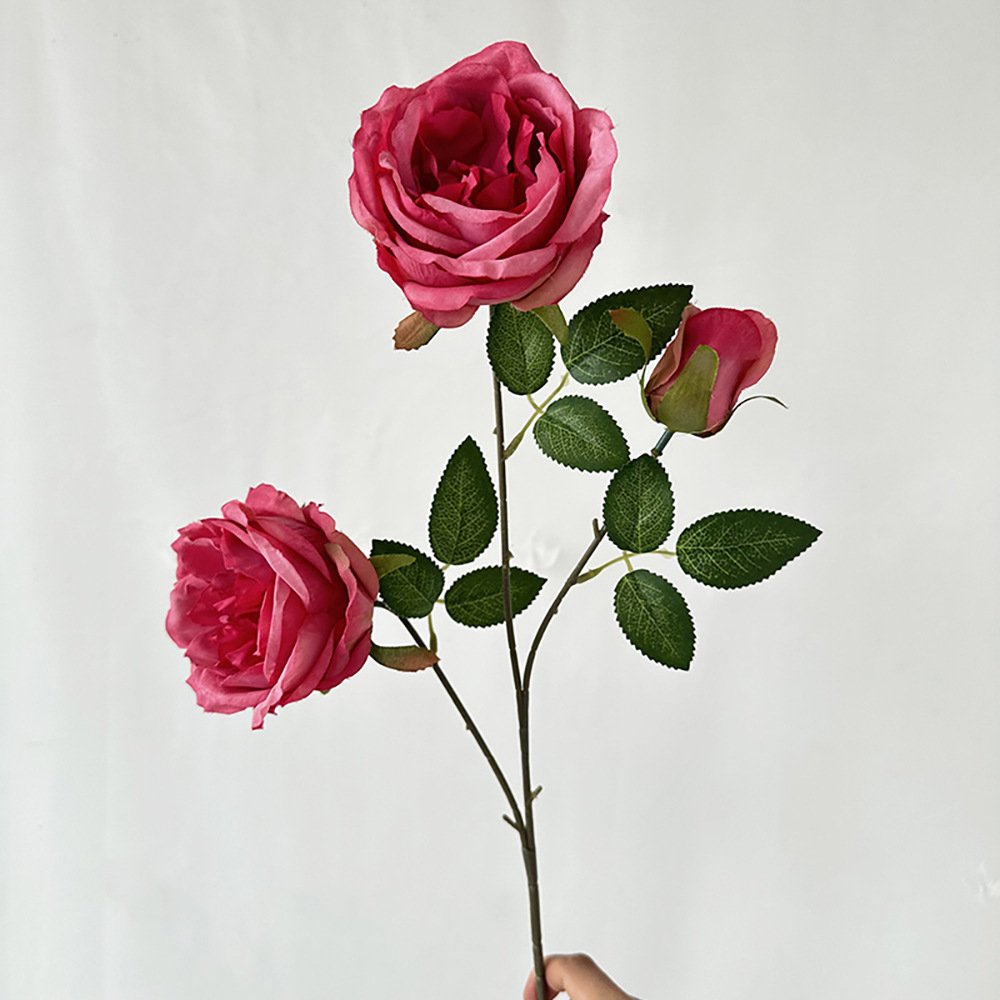 3 chevaux ivres Austin Rose Rose