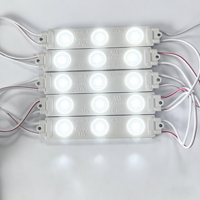 Module de moulage par injection pour caractères lumineux publicitaires LED blancs étanches IP66, DC12V/24V 111*20mm 3W 9000K-10000K