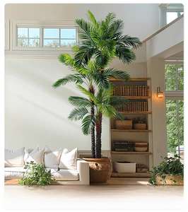 <span class=keywords><strong>Palma</strong></span> Artificiale Gigante da 2,1 Metri Resistente ai Raggi UV, <span class=keywords><strong>Palma</strong></span> in Plastica per Esterni Direttamente dalla Fabbrica per Giardini, Hotel e Paesaggistica Commerciale - Product Image 5