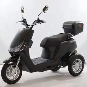 1000W 세 바퀴 escooter 진공 타이어 10 인치 환경 친화적 인 도시 전기 세발 자전거 스쿠터