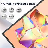 Vtex-Écran tactile IPS de 15.6 pouces, écran portable LCD LED, haute luminosité, PC de réunion de bureau et de jeu