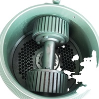 Machine à granulés de bois série KL MKL pièces de rechange nouvel usage domestique rouleau traitement biomasse paille riz balle herbe moteur de noyau