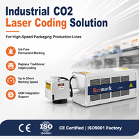 Codeur laser CO2 directement de l'usine pour l'emballage alimentaire, carton, date, numéro de lot, machine de marquage permanent CE ISO