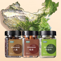 Especias Gourmet 3 en 1, Selección Premium, Frasco de 120g, Ideal para Kits Culinarios, Regalos Navideños, Especias al por Mayor
