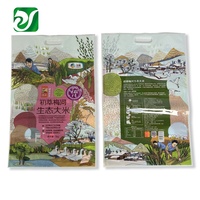 5kg 10kg polypropylène stratification PP tissé riz sac personnalisé farine de maïs sac pochette d'emballage