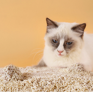 Juicepet 6L Stock lettiera per gatti facile da pulire 5 gusti profumati e profumati senza polvere che grumi una lettiera per gatti di Tofu biodegradabile rotta - Product Image 4