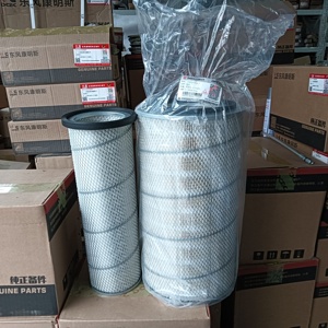 Kit de filtre à air d'origine Dongfeng 1109N-020 AA2956 AF25270 AF25271 - Product Image 2