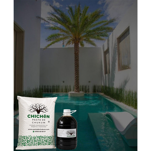 Enduit de chukum naturel raffiné pour finition de piscine, idéal pour l'aménagement paysager des cours intérieures résidentielles contemporaines - Product Image 1