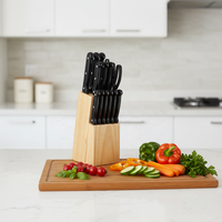 Ensemble de 15 couteaux multi-usages en acier inoxydable 2Cr13, couteau de chef, couteau à découper, couteau à pain, couteau utilitaire, couteau à steak, couteau à éplucher, manche en PP, ciseaux