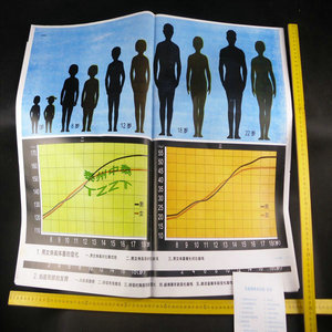 20 J5314 - Product Image 1