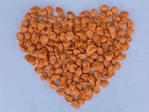 Casse-croûte aux noix en forme de prunier, casse-croûte aux cacahuètes rôties - Product Image 3