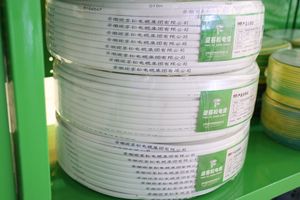 สายไฟฟ้าคุณภาพสูง Bvr Bv Rvvb Rvs 1.5 มม. <span class=keywords><strong>2</strong></span>.5 มม. 4 มม. ขนาดตามสั่ง ปลอกหุ้มพีวีซี - Product Image 3