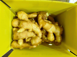 <span class=keywords><strong>2025</strong></span> khoảng cách chứng nhận hữu cơ khô tươi Trung Quốc gừng gốc giá mỗi tấn cho thực phẩm sử dụng - Product Image 3