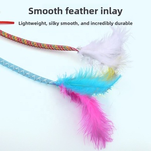 Bastone Elastico per Gatti con Campanello e Piume, Giocattolo Interattivo Resistente ai Morsi, Vendita all'Ingrosso - Product Image 4