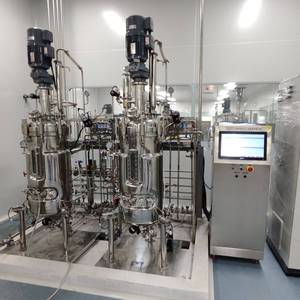 Biorreactor de Acero Inoxidable de Gran Capacidad, 20000L, Recipiente a Presión, PLC BLBIO-SJA - Product Image 4