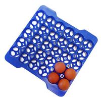 LxLxH 354x325x200mm Récipient plastique polypropylène PP en gastronorme dimension GN 2/3 boîte de transport d'oeufs