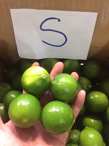 <span class=keywords><strong>2025</strong></span> Bán Buôn Không Hạt Chanh Tươi Từ Việt Nam Giá Rẻ Giá 100% Tươi Lime/Citrus Trái Cây - Product Image 5