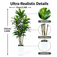 Dracaena Buatan Ukuran Besar 210cm Pot Kubus Putih Modern Pohon Jagung Palsu Tahan Air Ramah Lingkungan untuk Lobi Atrium Hotel