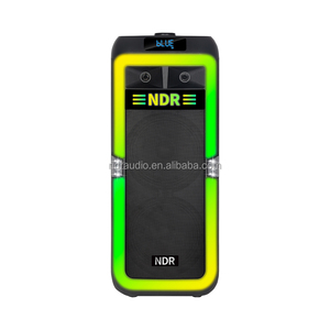 NDR-1710 Enceinte karaoké Bluetooth TWS à double caisson de basses de 8 pouces, 2 voies, avec lumière LED clignotante, sans fil, nouvelle arrivée, batterie professionnelle, haut-parleur KTV - Product Image 2