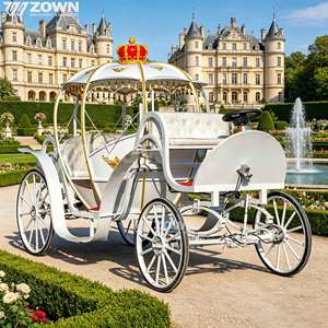 Durable Electric Cinderella Pumpkin Carriage Retro Tour Cart for Outdoor Scenic Area Transport - Product Image 1