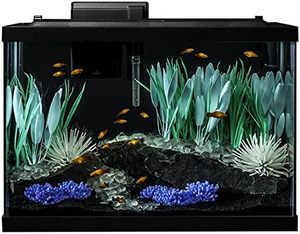 Inclusief Led Verlichting En Decor <span class=keywords><strong>Aquarium</strong></span> <span class=keywords><strong>20</strong></span> <span class=keywords><strong>Gallon</strong></span> Glazen Kleine <span class=keywords><strong>Aquarium</strong></span> Kit - Product Image 2