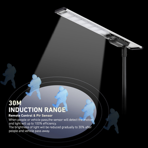 200mm 300mm 12vレッドグリーンストリート歩行者信号灯LED信号機 - Product Image 2