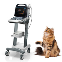 Ecógrafo Veterinario Mindray DP-30, Instrumento de Ultrasonido Veterinario Digital Portátil en Blanco y Negro para Uso General Básico con Sonda Convexa
