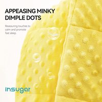 Couverture en peluche lestée pour l'autisme en gros Insugar Dinosaur Fleece Sleeping Calm Minky Dots Kids Hush Weighted Blankets
