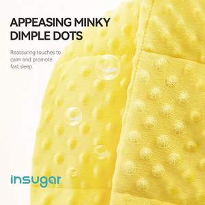 Couverture en peluche lestée pour l'autisme en gros Insugar Dinosaur Fleece Sleeping Calm Minky Dots Kids Hush Weighted Blankets - Product Image 3